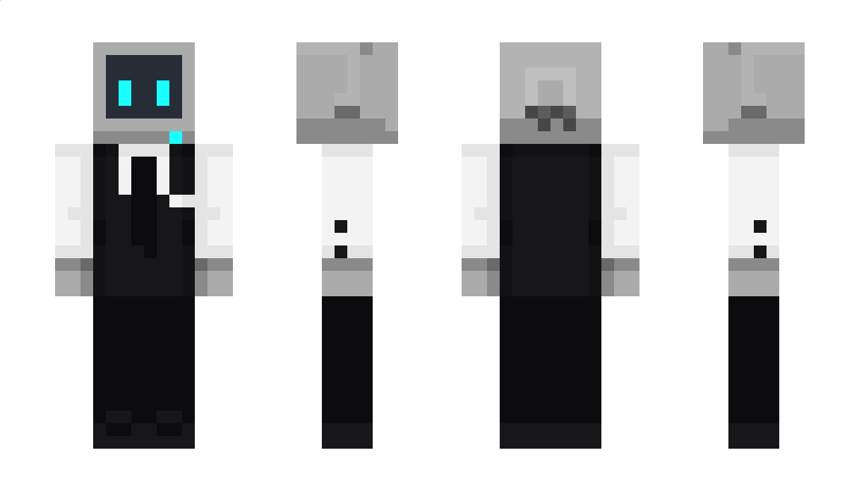 lowpolyraccoon Minecraft Skin