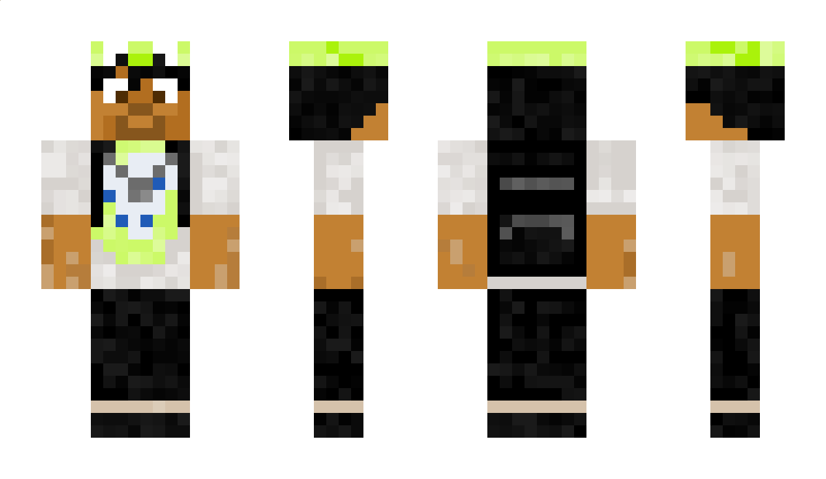 HartsyProtzy Minecraft Skin