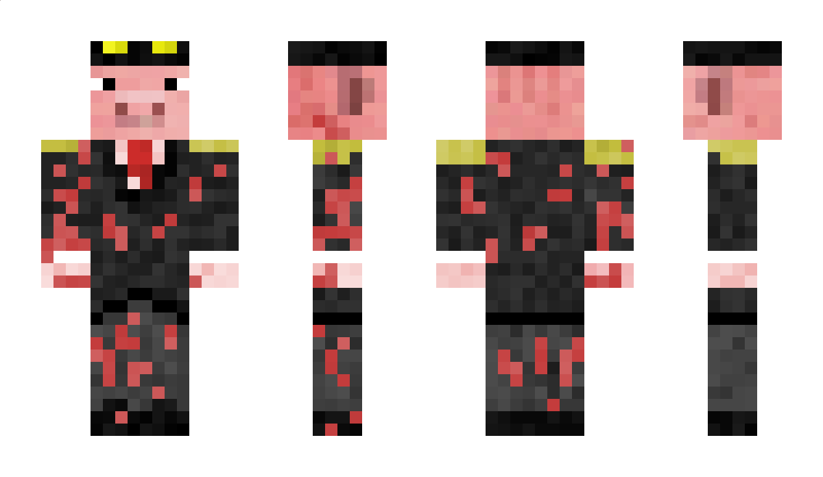 writain Minecraft Skin