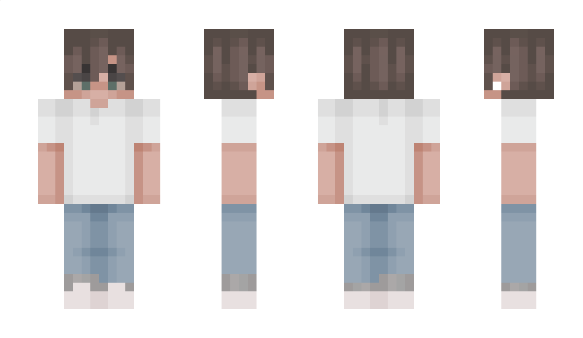 SnowFence Minecraft Skin