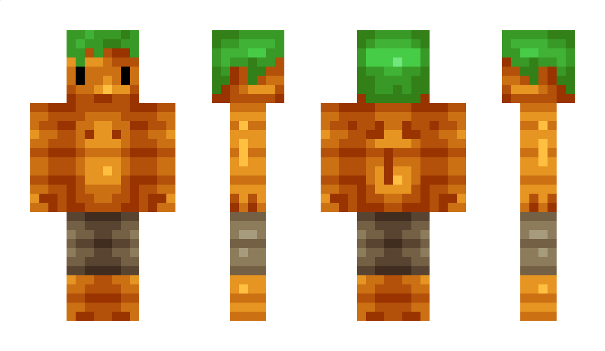 xSCHWuchTeL Minecraft Skin