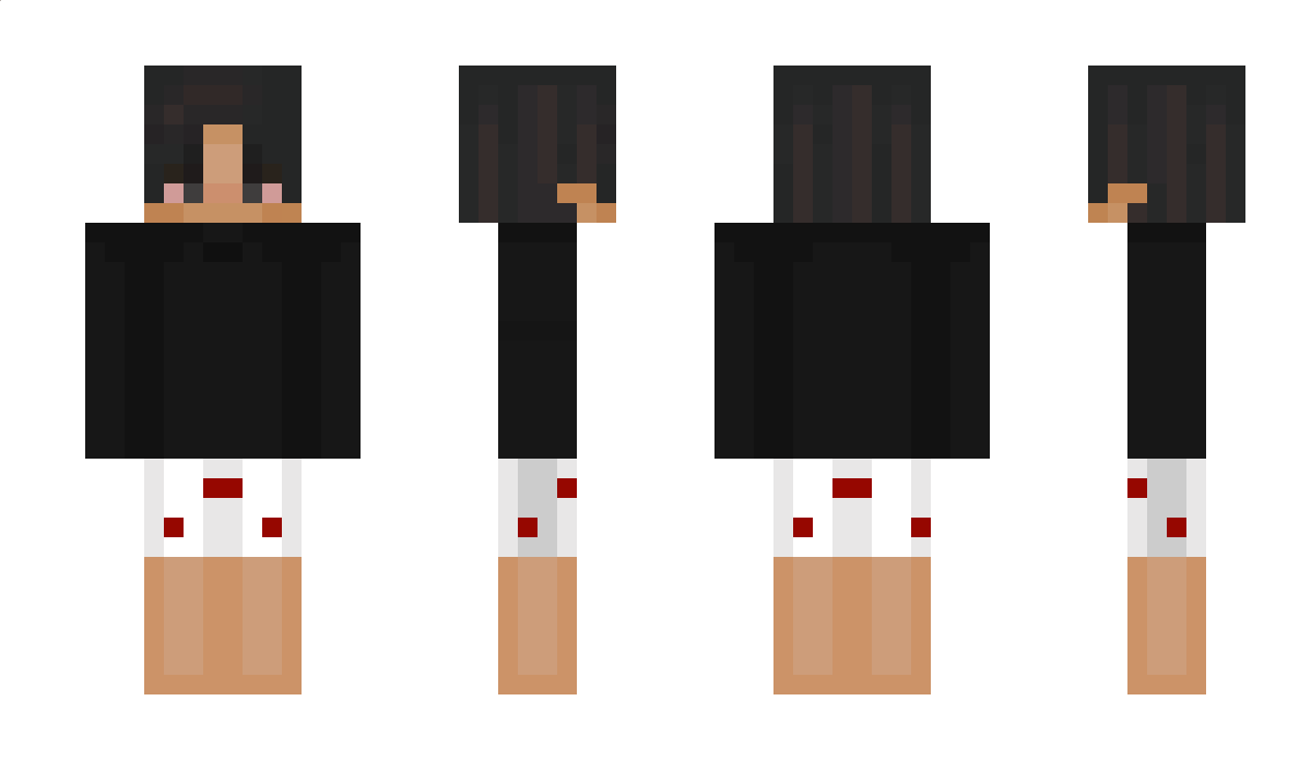 songs Minecraft Skin