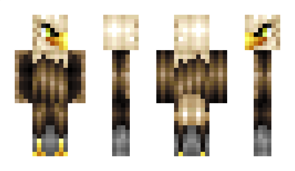 Paradoxismus Minecraft Skin