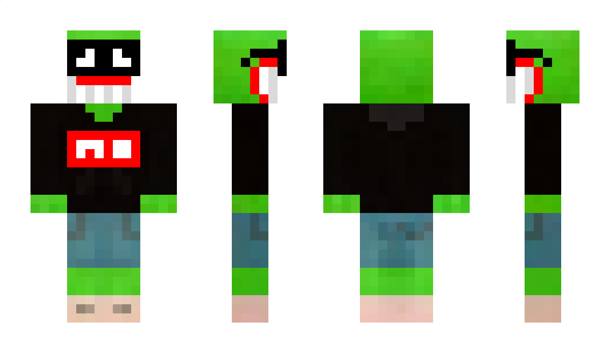 PolonezFan338 Minecraft Skin