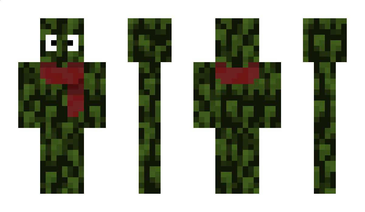 VERKIDETER Minecraft Skin