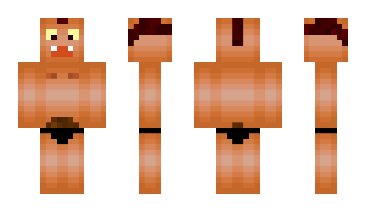 Puer Minecraft Skin