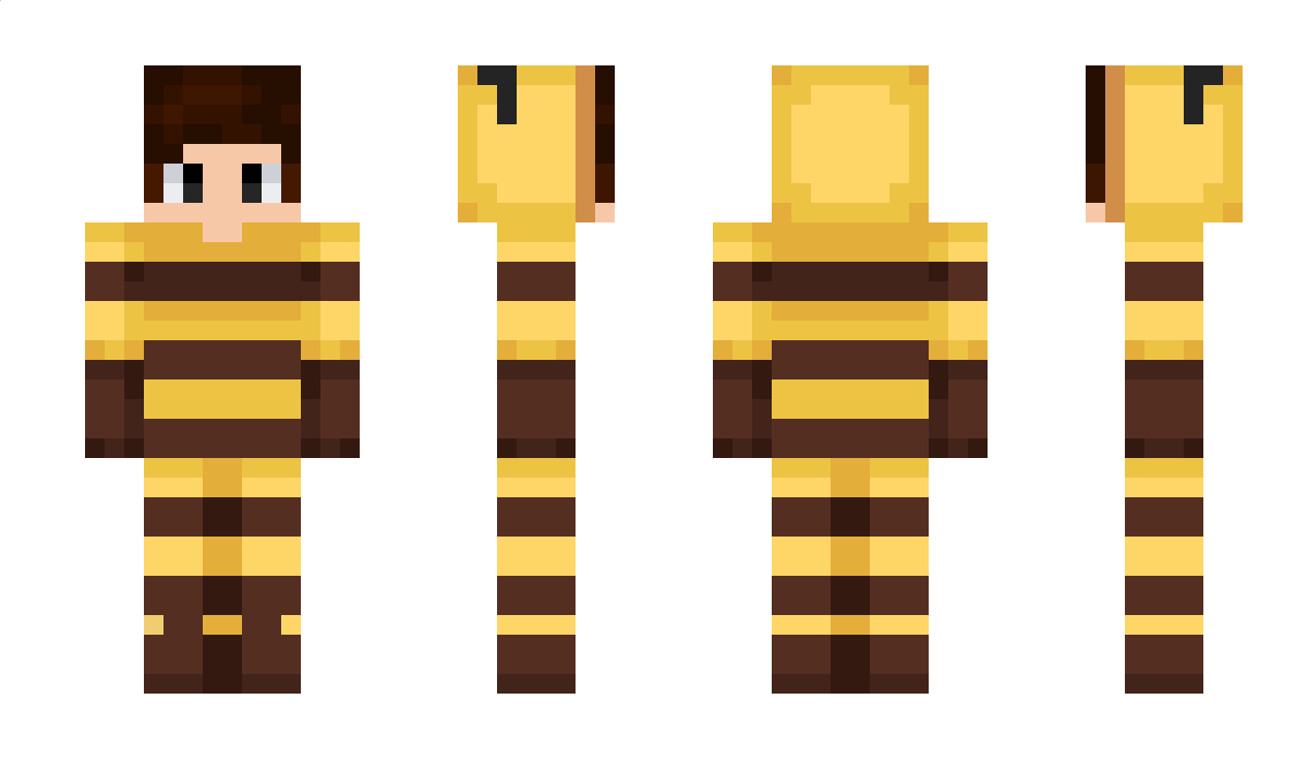 Minebeeboy Minecraft Skin