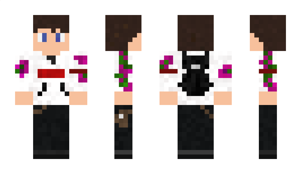 Matito Minecraft Skin