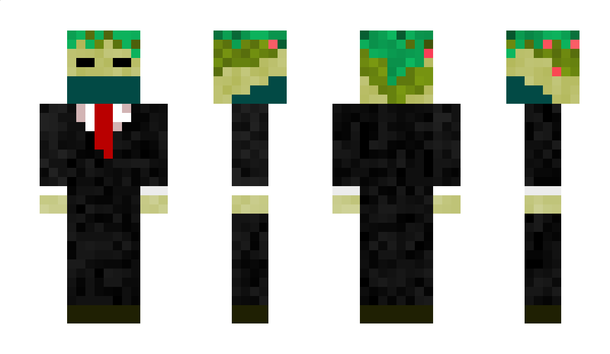 NerzKwu107 Minecraft Skin