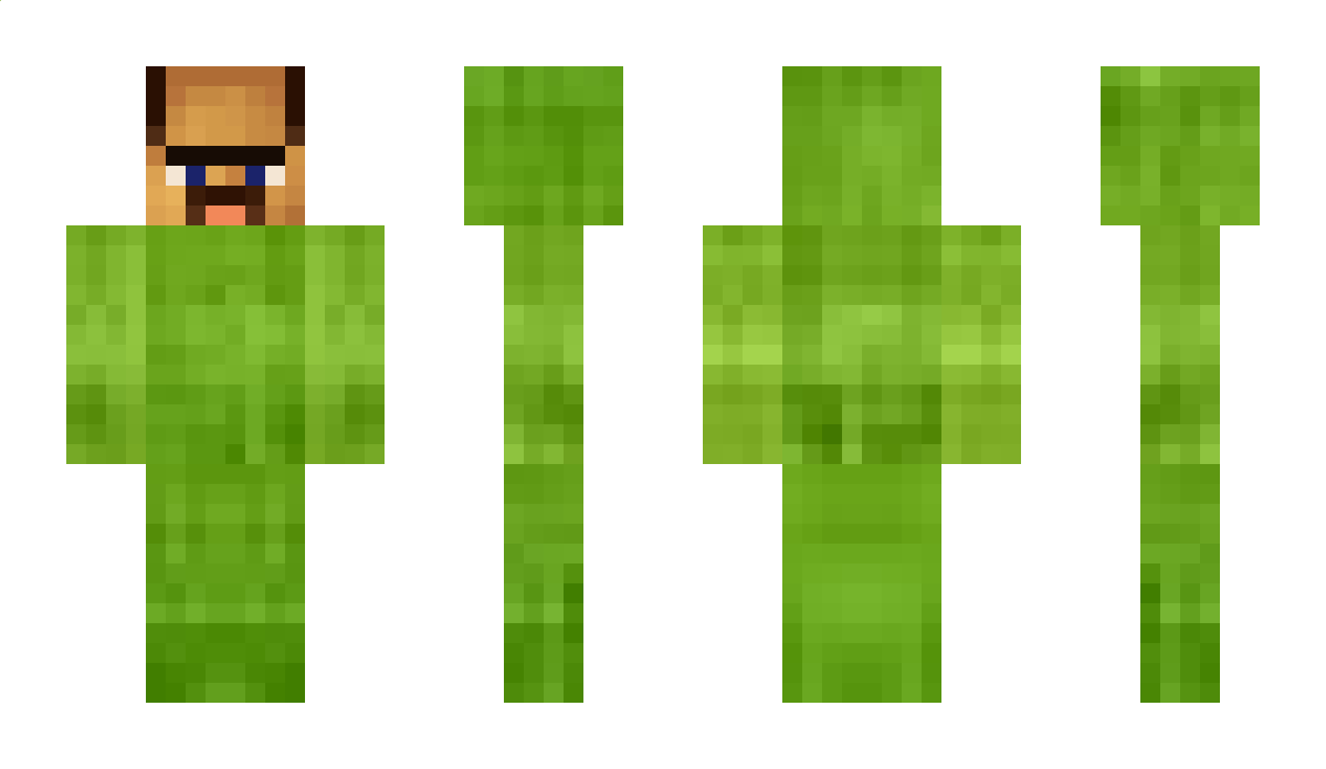 Bamboo Minecraft Skin