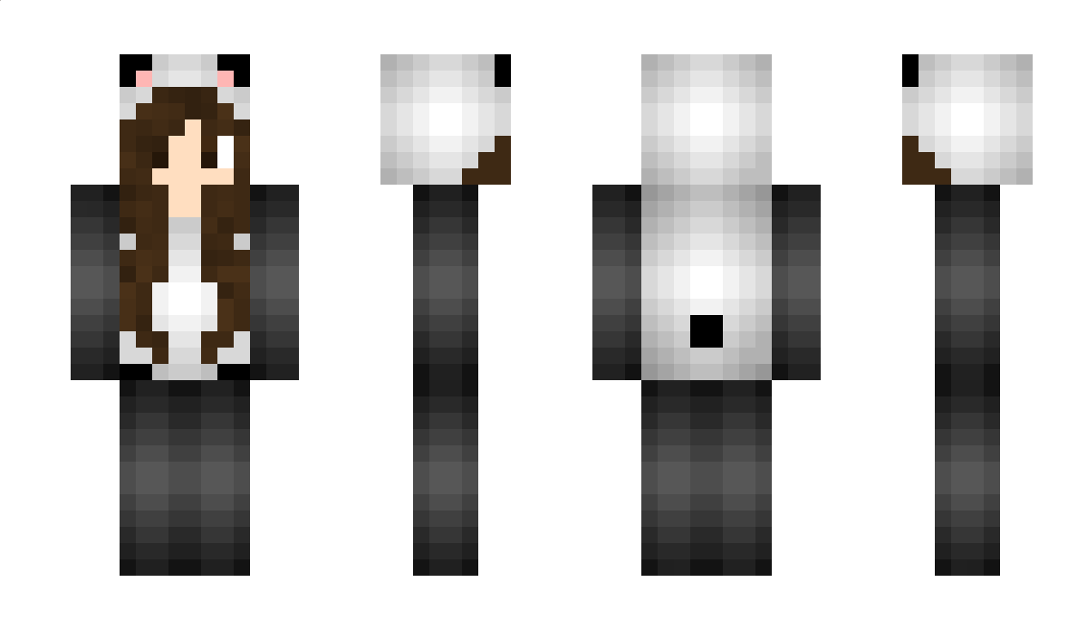 Piches Minecraft Skin