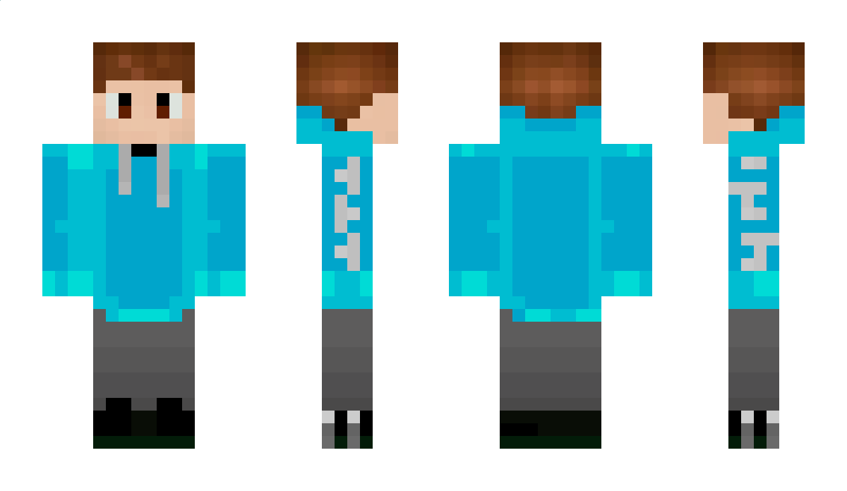 TerrarianDE Minecraft Skin