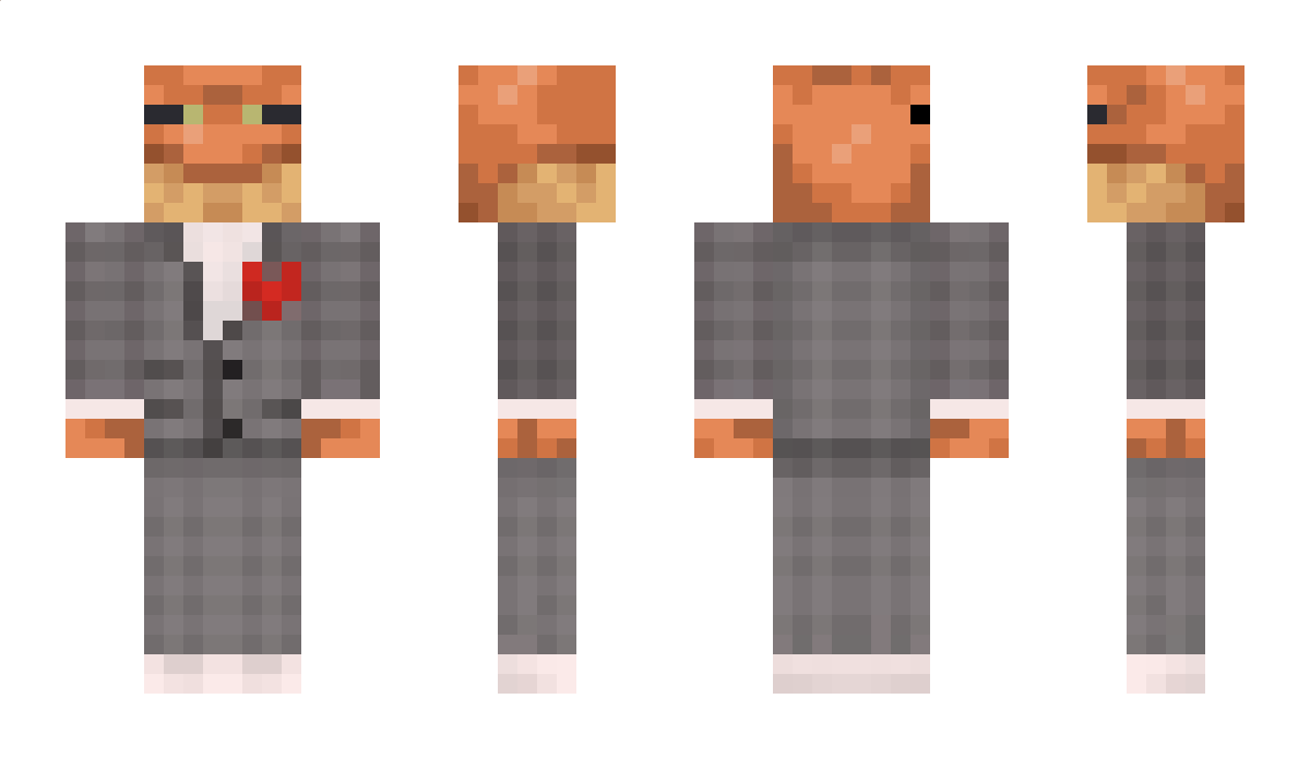 Shawzey211 Minecraft Skin