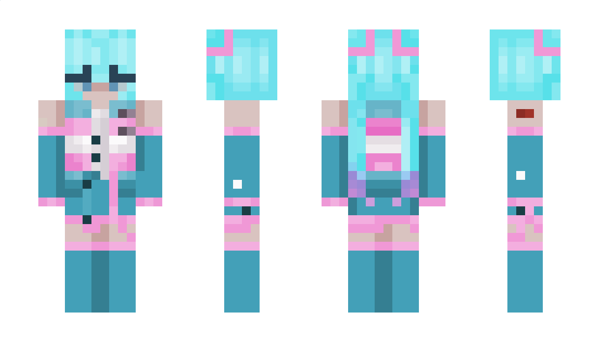 DefNotAGoose Minecraft Skin