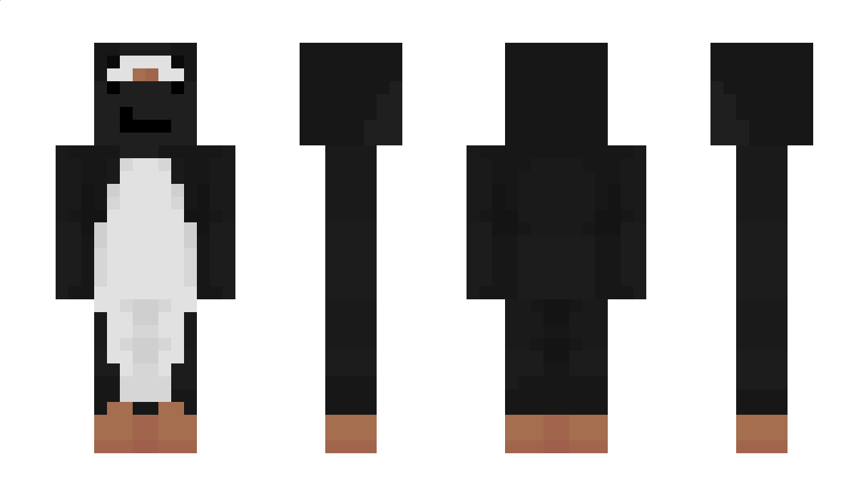 shadocw Minecraft Skin