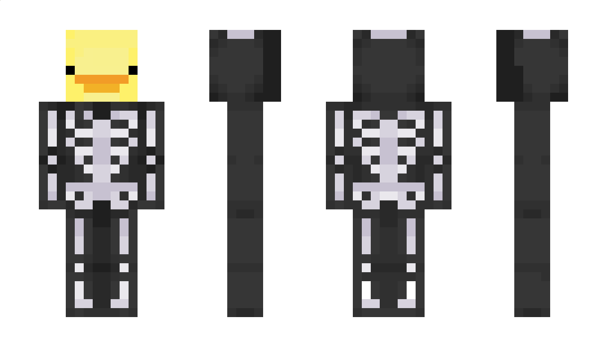 AidenBlizzardVXI Minecraft Skin