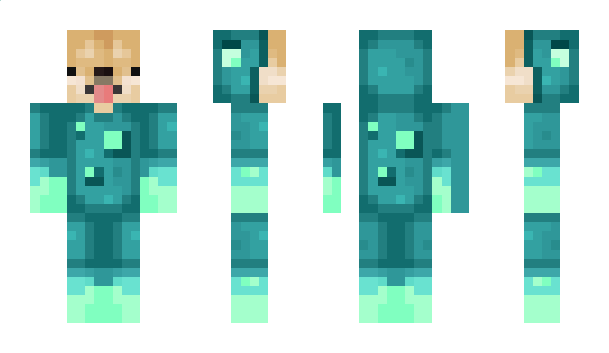 Arnou111 Minecraft Skin