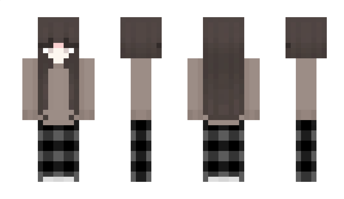 DamageReduction Minecraft Skin