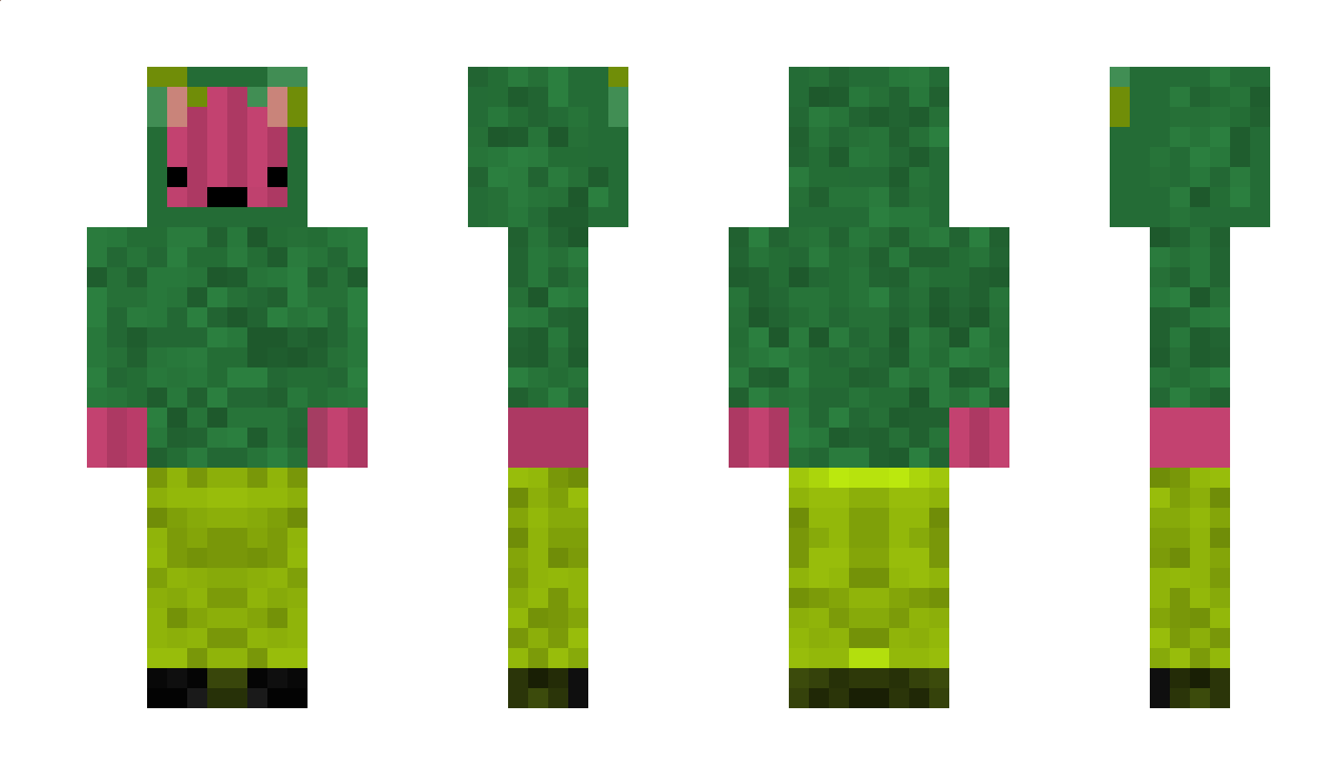 0ignon_Rouge Minecraft Skin