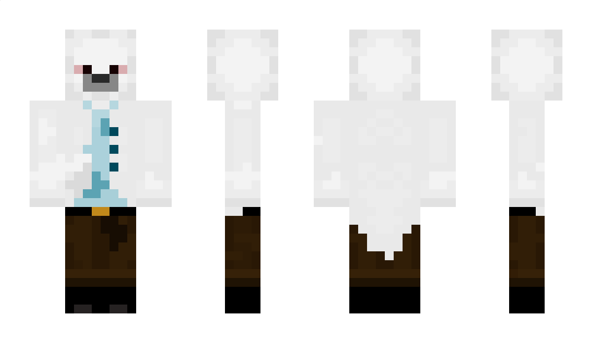 SealLikesToes Minecraft Skin