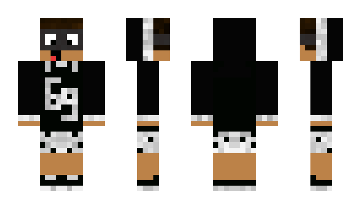 DreamQ Minecraft Skin