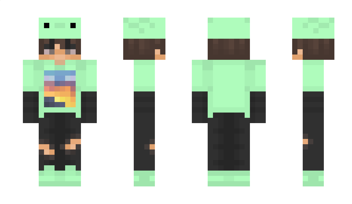 NiMi806 Minecraft Skin