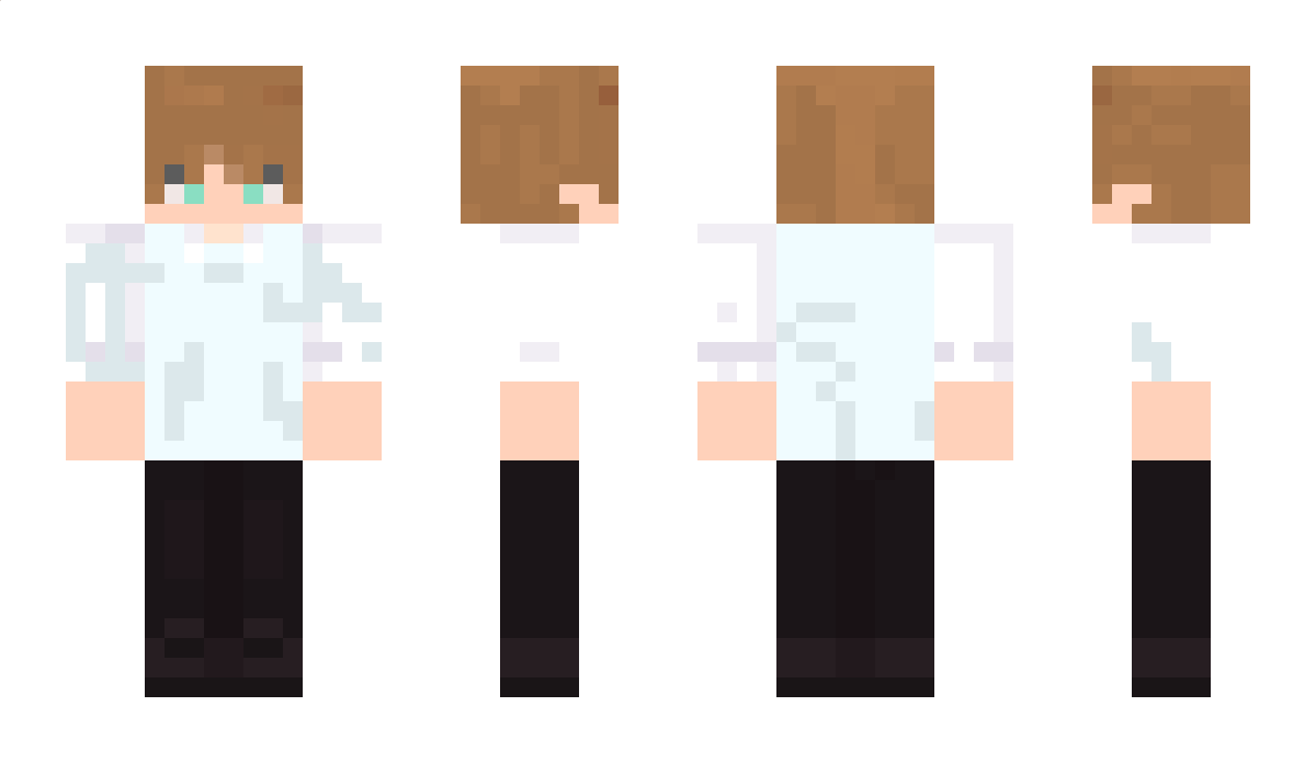 663 Minecraft Skin