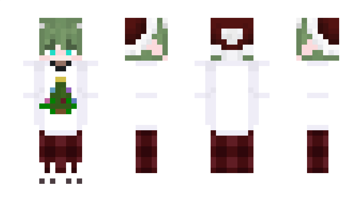 TerraPlaza Minecraft Skin