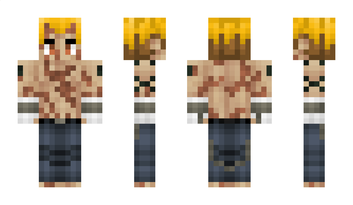 dusk95 Minecraft Skin