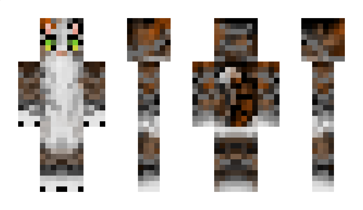 Corwin Minecraft Skin