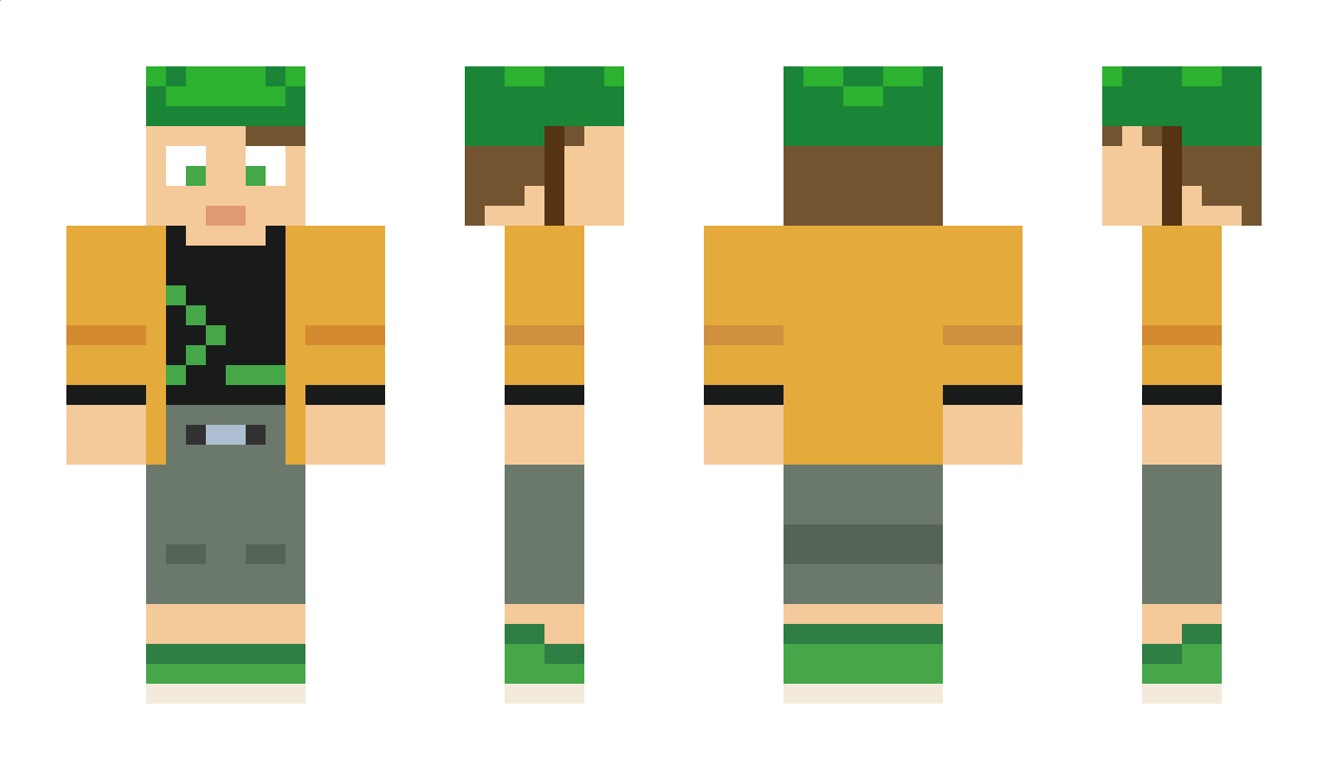 wellencrypted Minecraft Skin