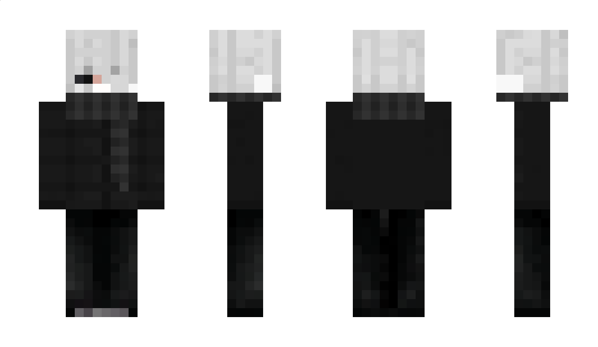 provizer_5018 Minecraft Skin