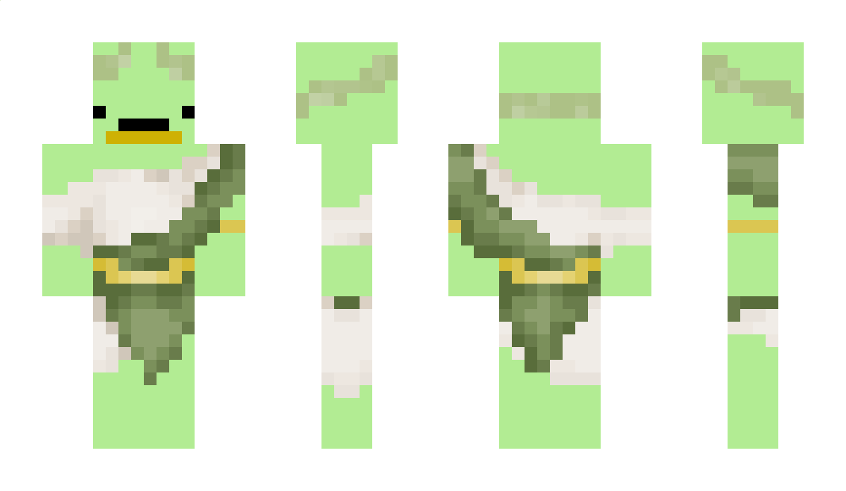 Coragora1 Minecraft Skin