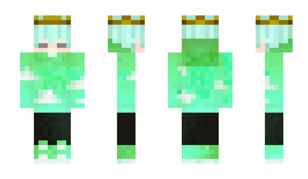 poussin4321 Minecraft Skin