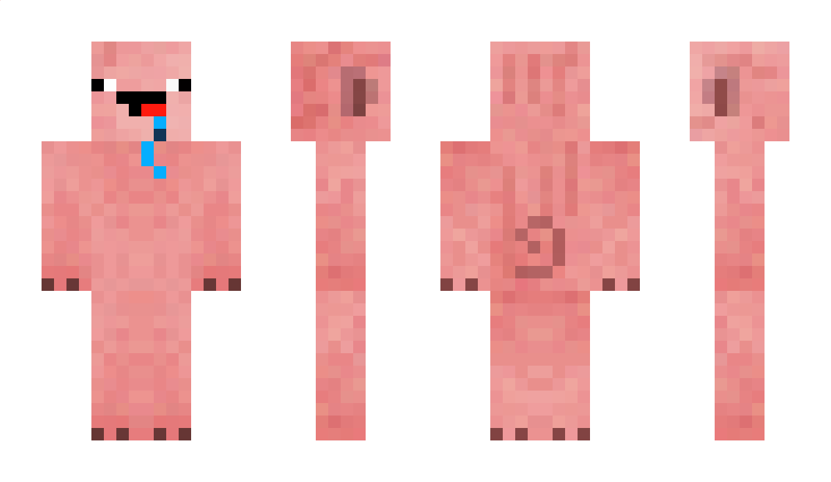 pinkbed_ Minecraft Skin