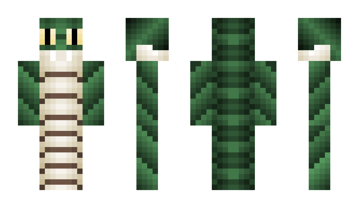 Dementedsnake12 Minecraft Skin