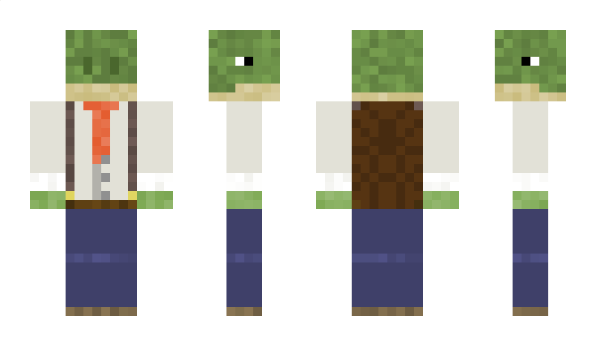 RidiculousTurtle Minecraft Skin