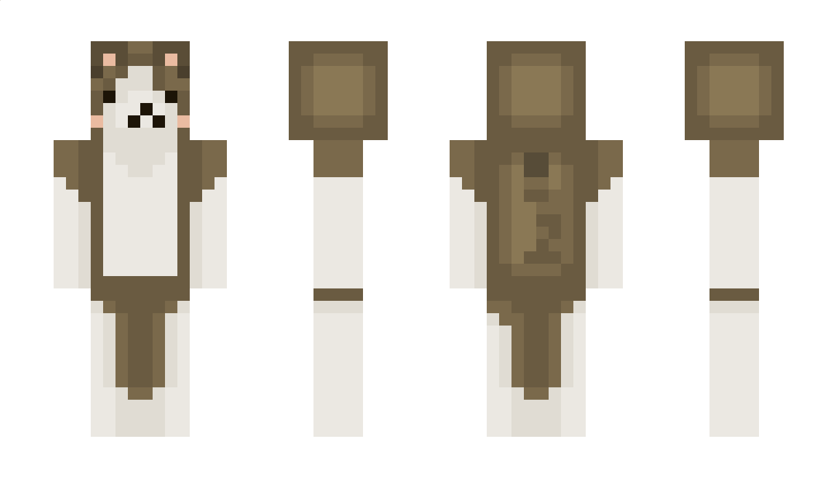 Toasseter Minecraft Skin