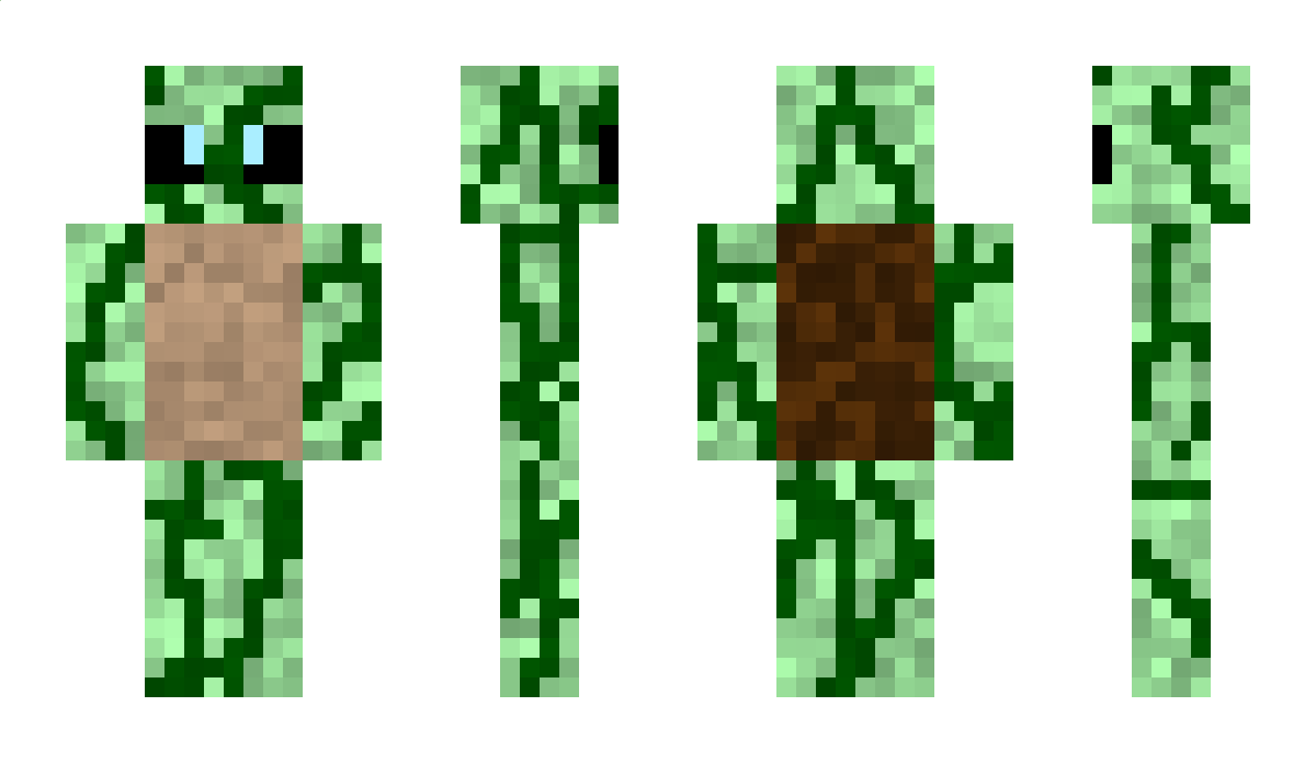 shell_shock_09 Minecraft Skin