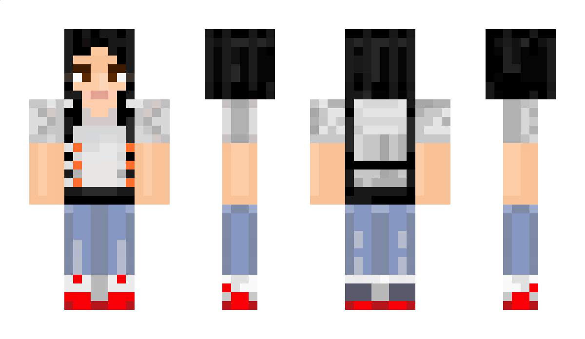 kattbilden Minecraft Skin