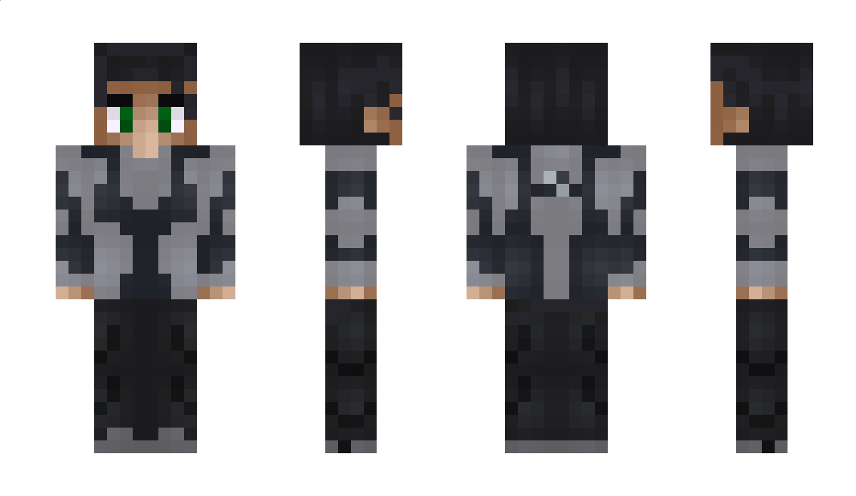 D53 Minecraft Skin