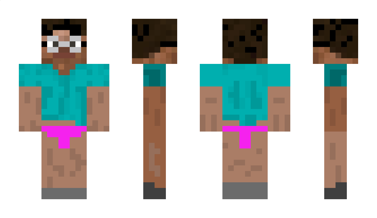 sw5729 Minecraft Skin