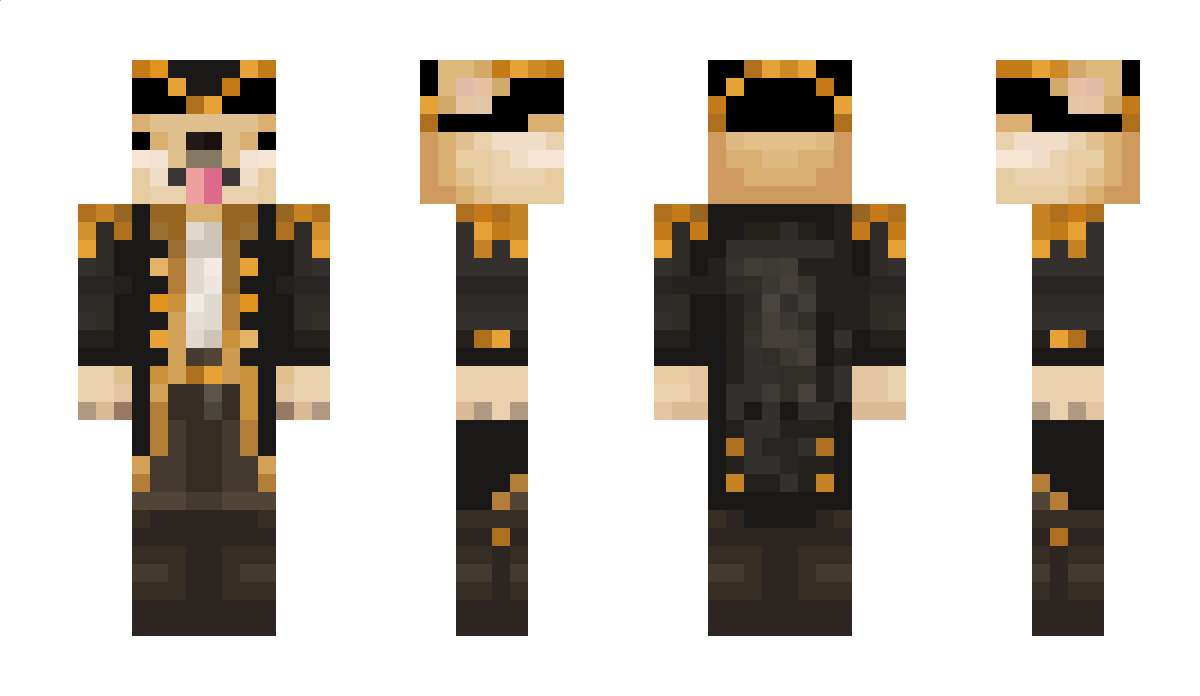 _DaDoge Minecraft Skin