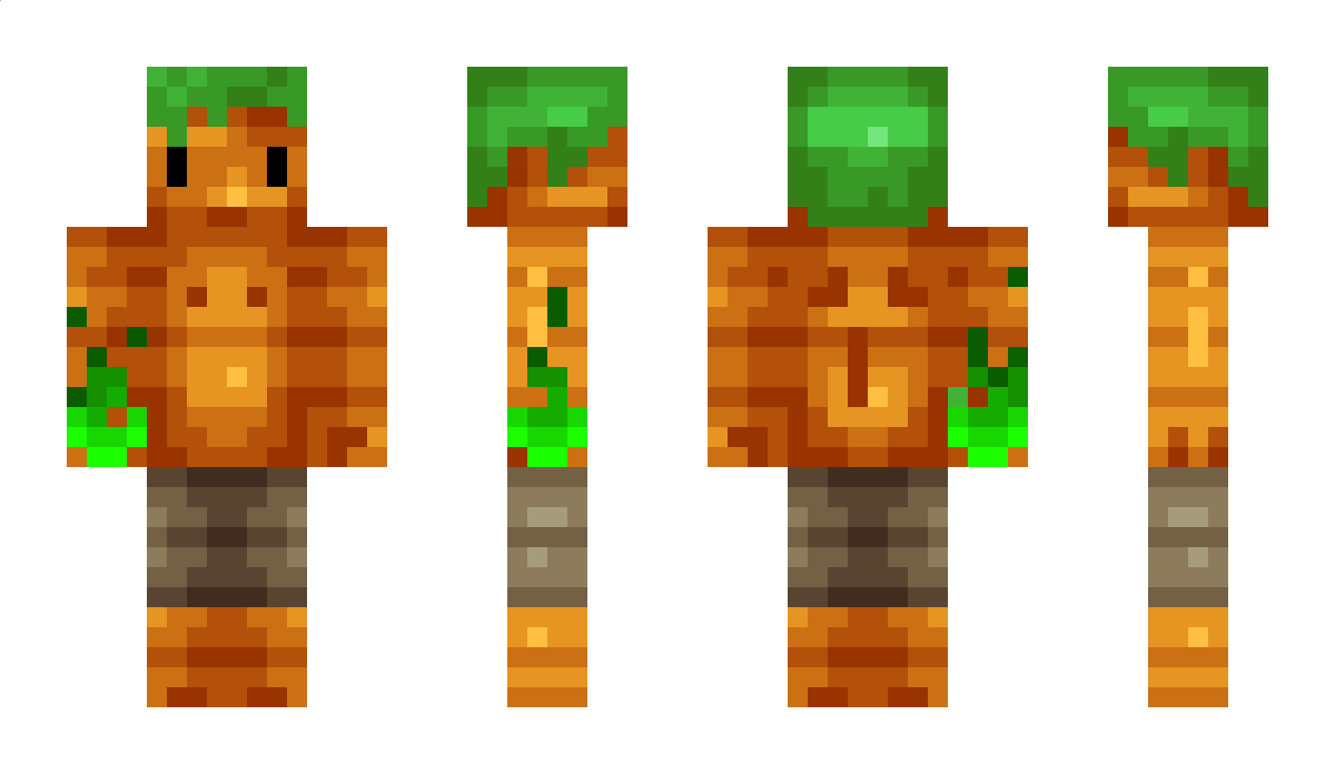 Karotte Minecraft Skin