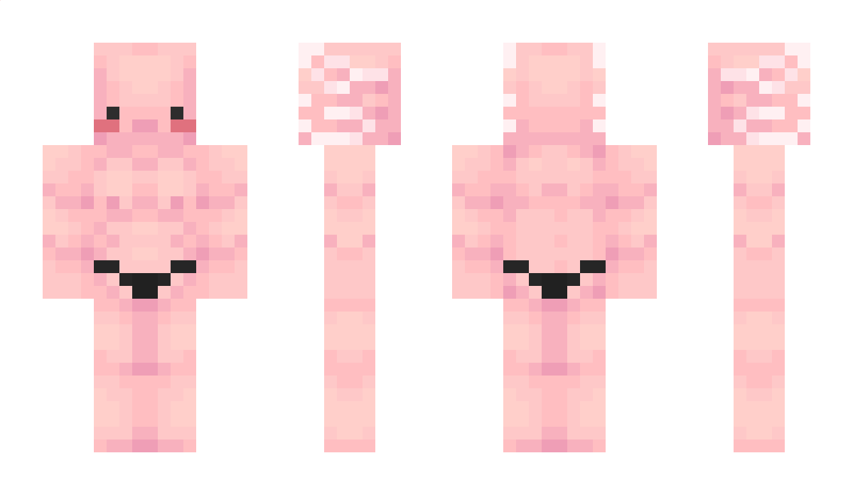 RaptorBoy17144 Minecraft Skin