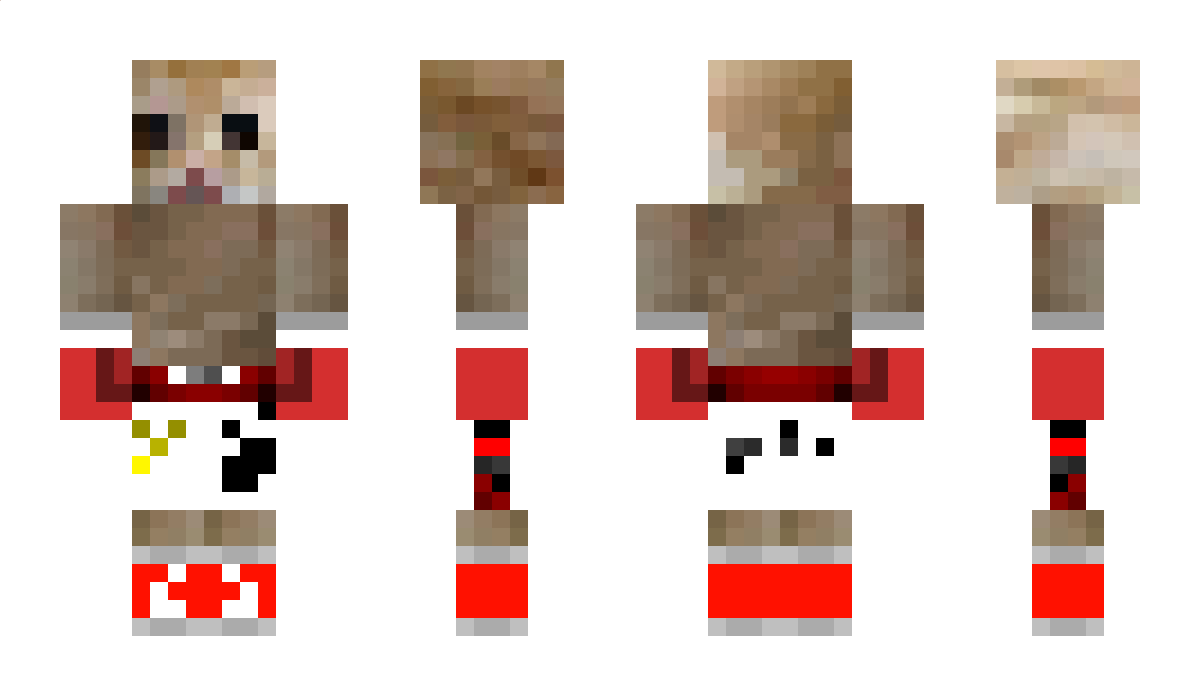 bautaelpapu Minecraft Skin