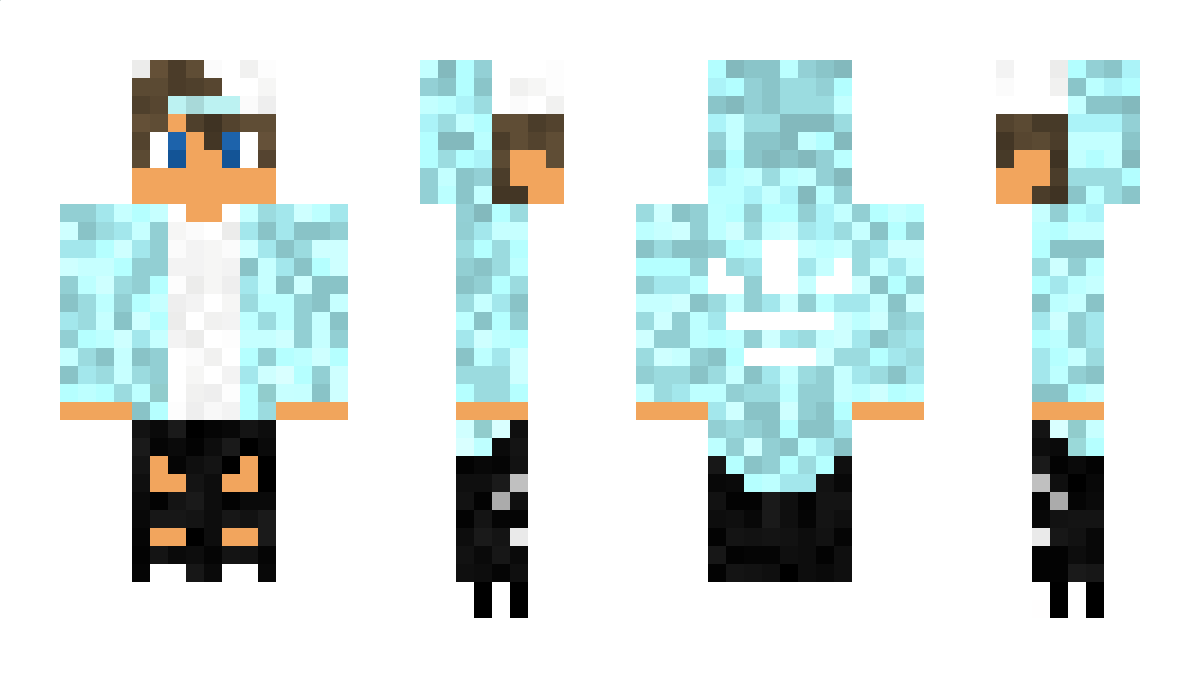 fls_exe Minecraft Skin