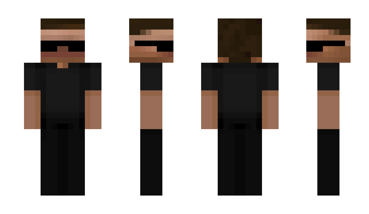 LassMeineStats Minecraft Skin