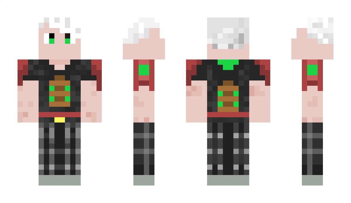 SeldomZ Minecraft Skin