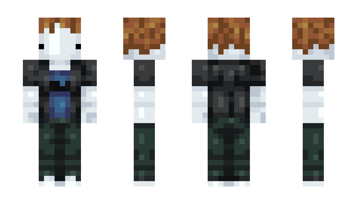 Navtarii Minecraft Skin